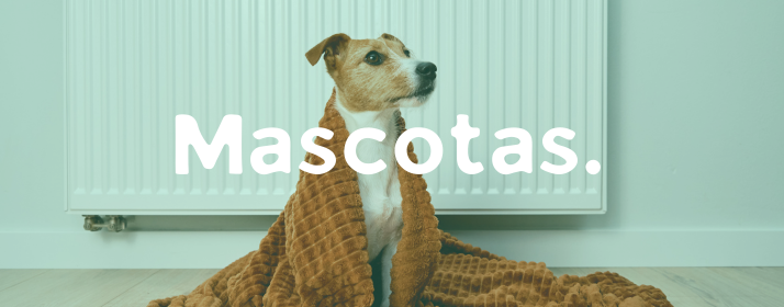 MASCOTAS