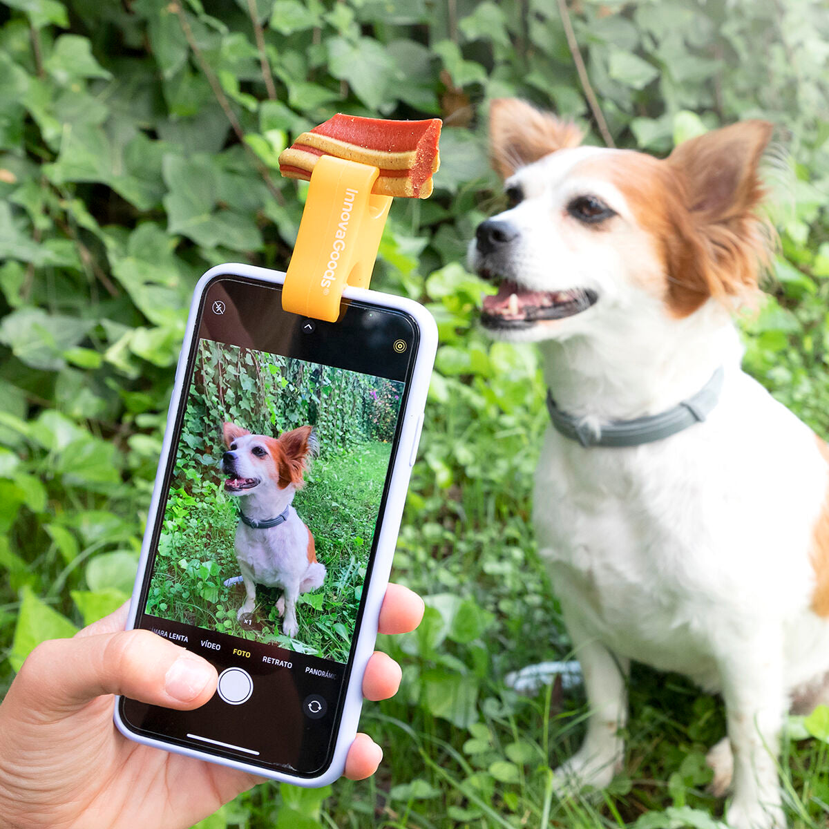 Pack Clip de Selfies para Mascotas y Fuente para Mascotas InnovaGoods