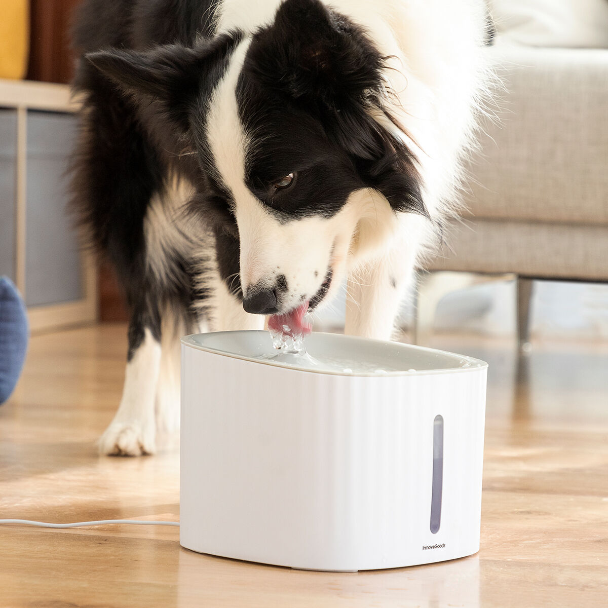Pack Clip de Selfies para Mascotas y Fuente para Mascotas InnovaGoods