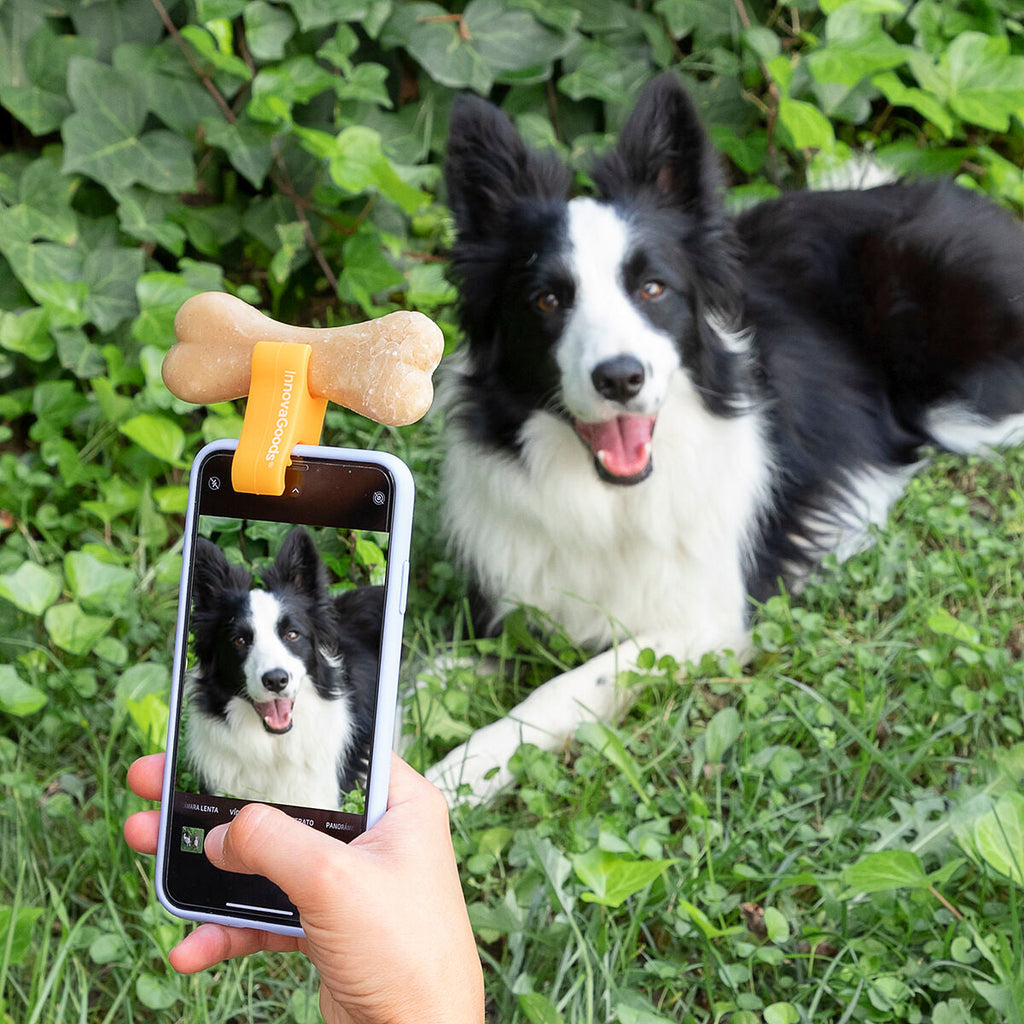 Pack Clip de Selfies para Mascotas y Fuente para Mascotas InnovaGoods