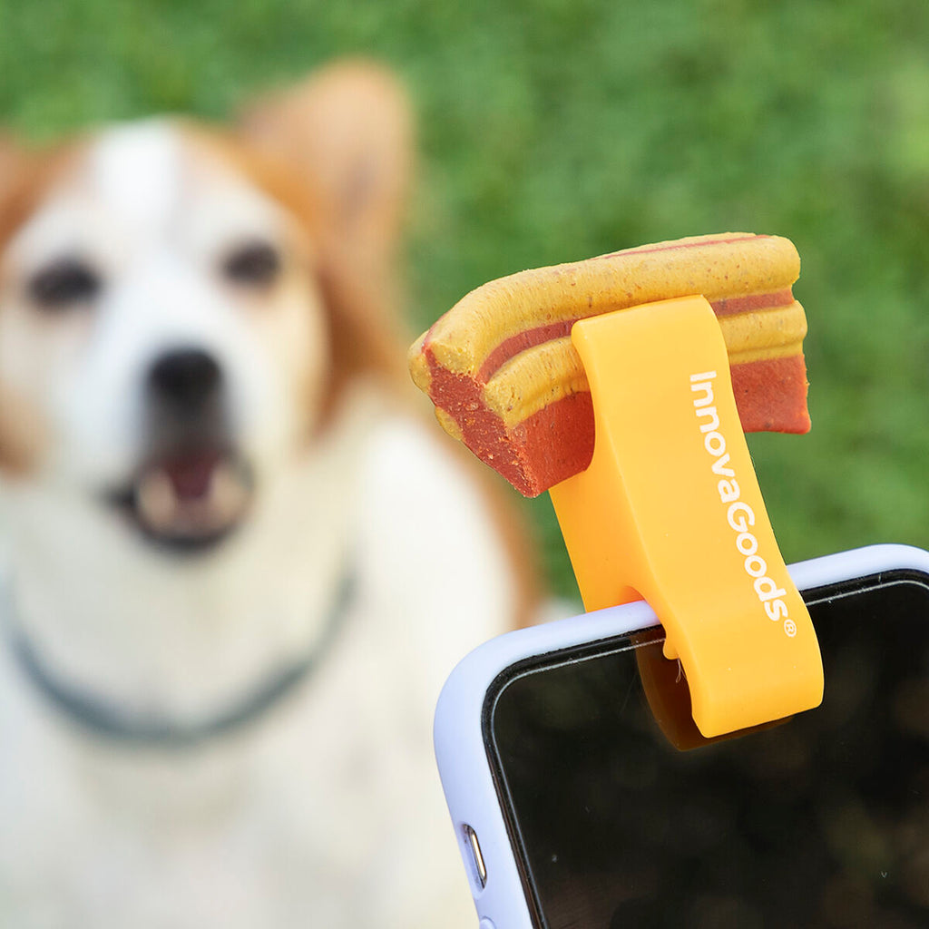 Pack Clip de Selfies para Mascotas y Hamaca Colgante para Gatos InnovaGoods