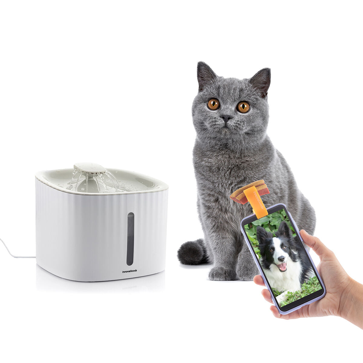 Pack Clip de Selfies para Mascotas y Fuente para Mascotas InnovaGoods