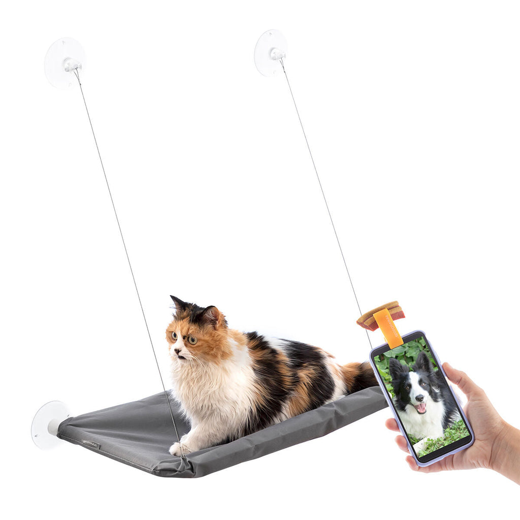 Pack Clip de Selfies para Mascotas y Hamaca Colgante para Gatos InnovaGoods